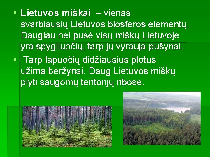 § Lietuvos miškai – vienas svarbiausių Lietuvos biosferos elementų. Daugiau nei pusė visų miškų