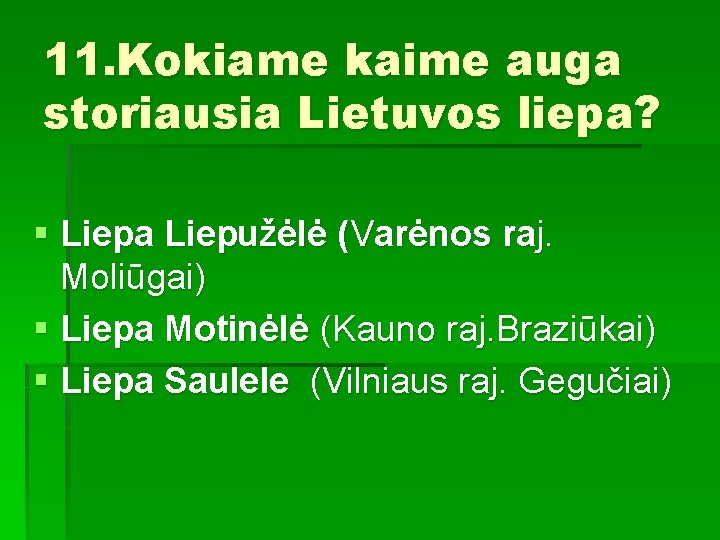 11. Kokiame kaime auga storiausia Lietuvos liepa? § Liepa Liepužėlė (Varėnos raj. Moliūgai) §