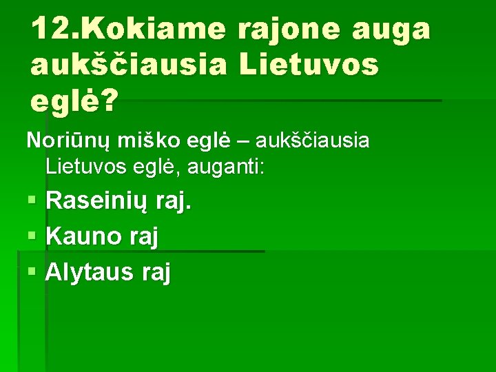 12. Kokiame rajone auga aukščiausia Lietuvos eglė? Noriūnų miško eglė – aukščiausia Lietuvos eglė,