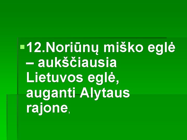 § 12. Noriūnų miško eglė – aukščiausia Lietuvos eglė, auganti Alytaus rajone, 