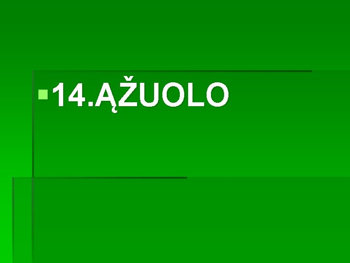 § 14. ĄŽUOLO 