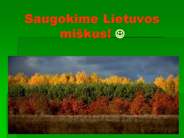 Saugokime Lietuvos miškus! 