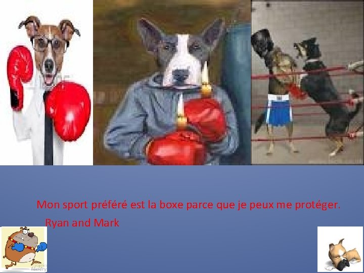 Mon sport préféré est la boxe parce que je peux me protéger. Ryan and