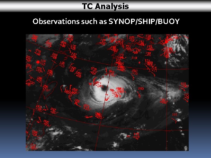 TC Analysis Observations such as SYNOP/SHIP/BUOY 