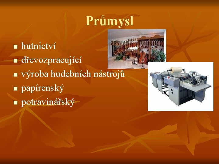 Průmysl n n n hutnictví dřevozpracující výroba hudebních nástrojů papírenský potravinářský 