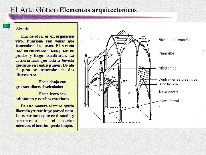 El Arte Gótico Elementos arquitectónicos Alzado Una catedral es un organismo vivo. Funciona con