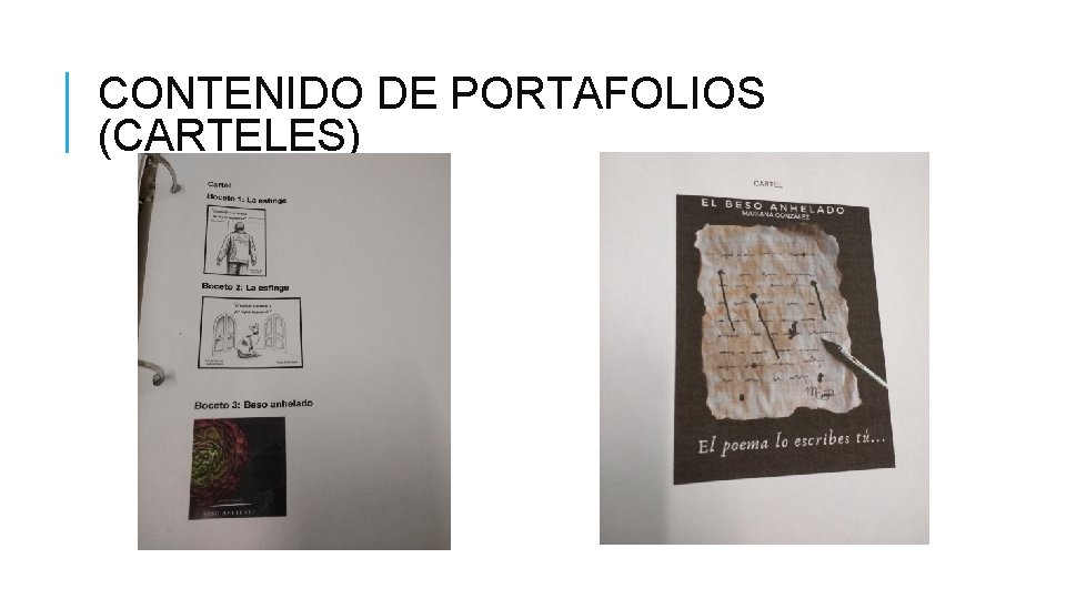 CONTENIDO DE PORTAFOLIOS (CARTELES) 