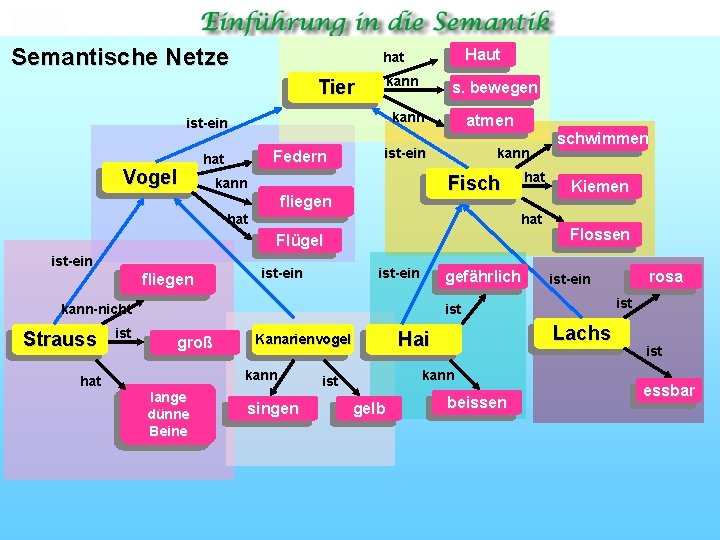 Semantische Netze Tier kann s. bewegen kann ist ein Vogel Haut hat Federn hat