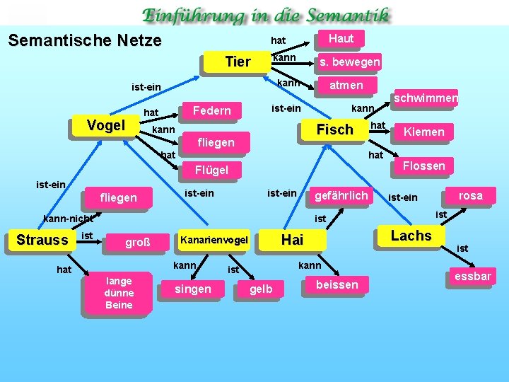 Semantische Netze Tier kann s. bewegen kann ist ein Vogel Haut hat Federn hat