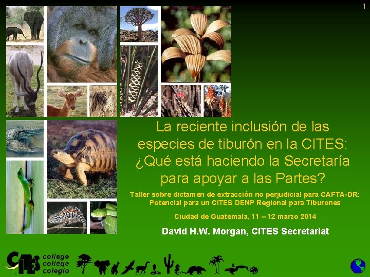 1 La reciente inclusión de las especies de tiburón en la CITES: ¿Qué está