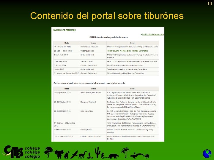 10 Contenido del portal sobre tiburónes 