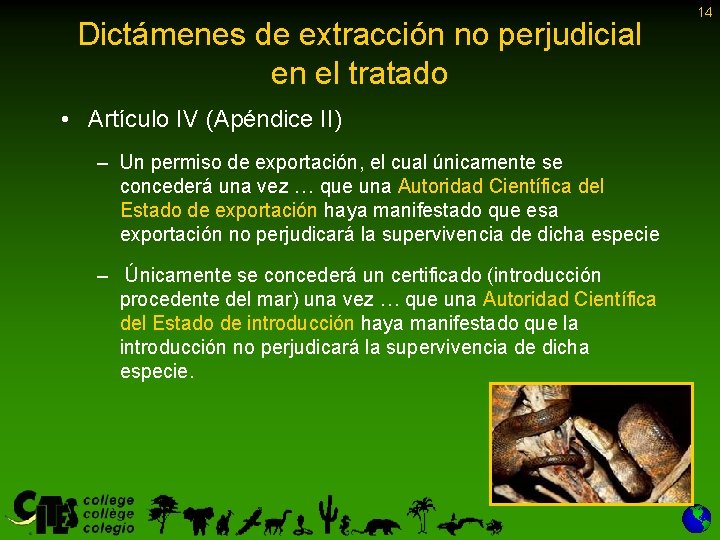 Dictámenes de extracción no perjudicial en el tratado • Artículo IV (Apéndice II) –