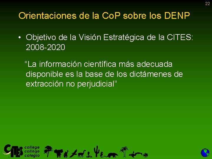 22 Orientaciones de la Co. P sobre los DENP • Objetivo de la Visión