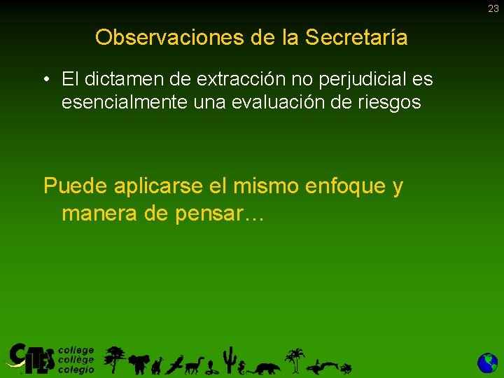 23 Observaciones de la Secretaría • El dictamen de extracción no perjudicial es esencialmente