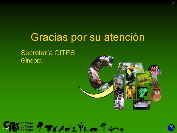 38 Gracias por su atención Secretaría CITES Ginebra 