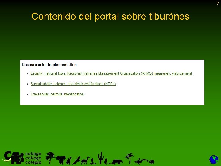 7 Contenido del portal sobre tiburónes 