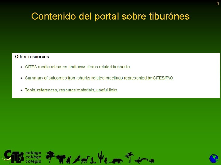 9 Contenido del portal sobre tiburónes 