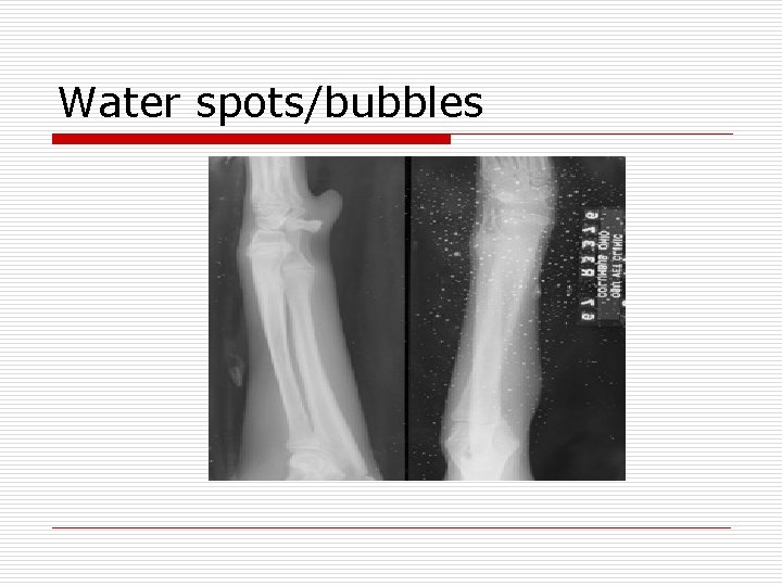 Water spots/bubbles 