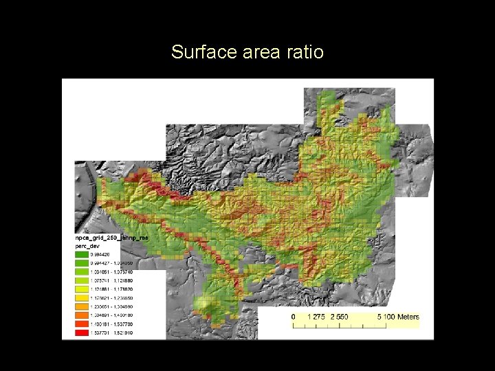 Surface area ratio Surface area ratio