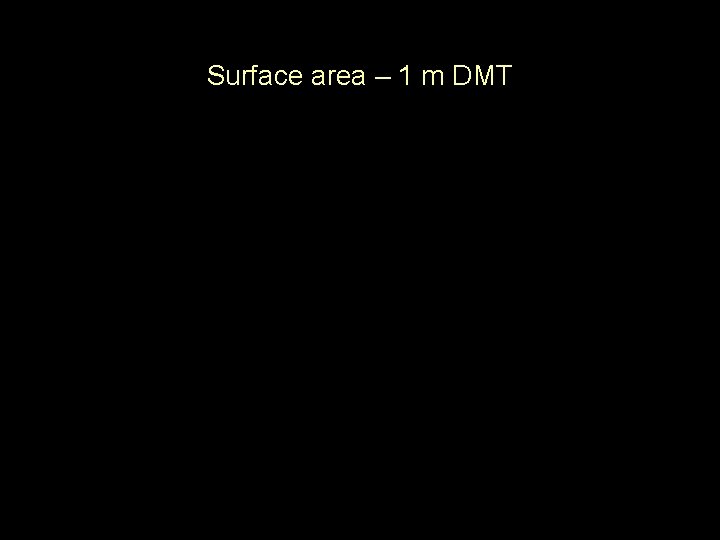 Surface area – 1 m DMT 