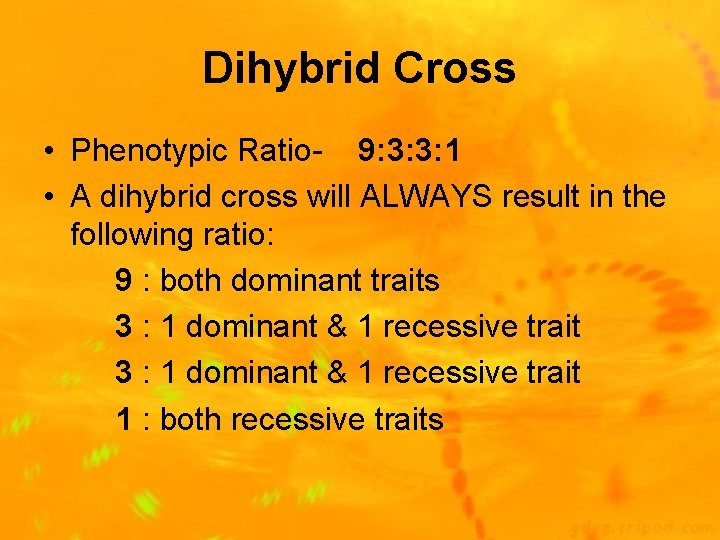 Dihybrid Cross • Phenotypic Ratio- 9: 3: 3: 1 • A dihybrid cross will