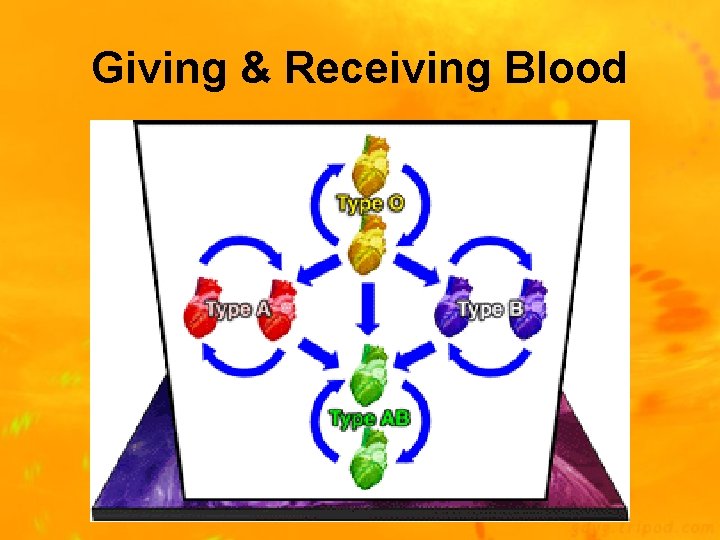 Giving & Receiving Blood 