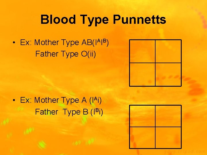 Blood Type Punnetts • Ex: Mother Type AB(IAIB) Father Type O(ii) • Ex: Mother