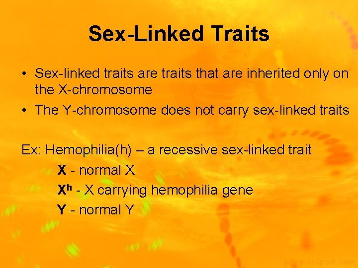 Sex-Linked Traits • Sex-linked traits are traits that are inherited only on the X-chromosome