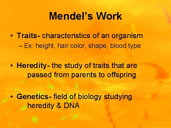 Mendel’s Work • Traits- characteristics of an organism – Ex: height, hair color, shape,