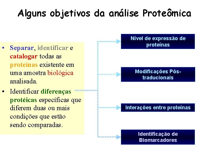 Alguns objetivos da análise Proteômica • Separar, identificar e catalogar todas as proteínas existente