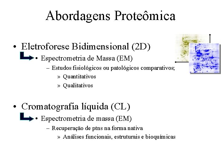 Abordagens Proteômica • Eletroforese Bidimensional (2 D) • Espectrometria de Massa (EM) – Estudos