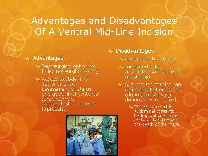 Advantages and Disadvantages Of A Ventral Mid-Line Incision Disadvantages Advantages Best surgical option for