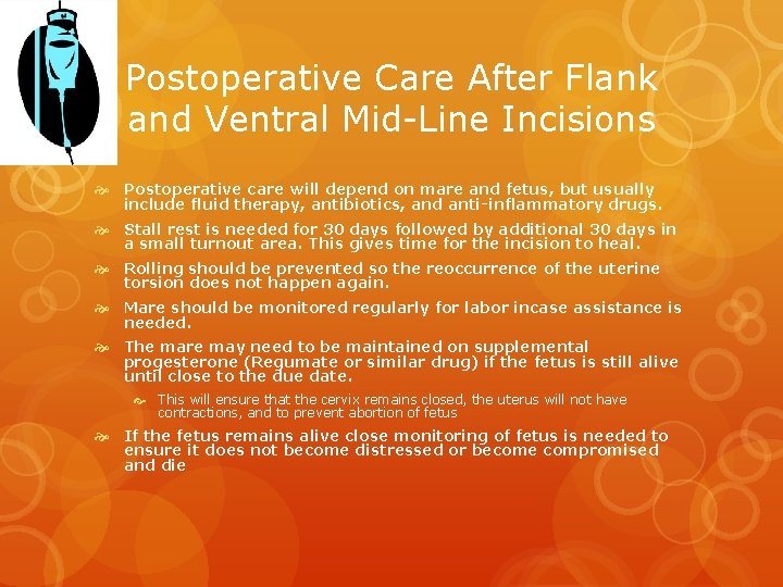 Postoperative Care After Flank and Ventral Mid-Line Incisions Postoperative care will depend on mare