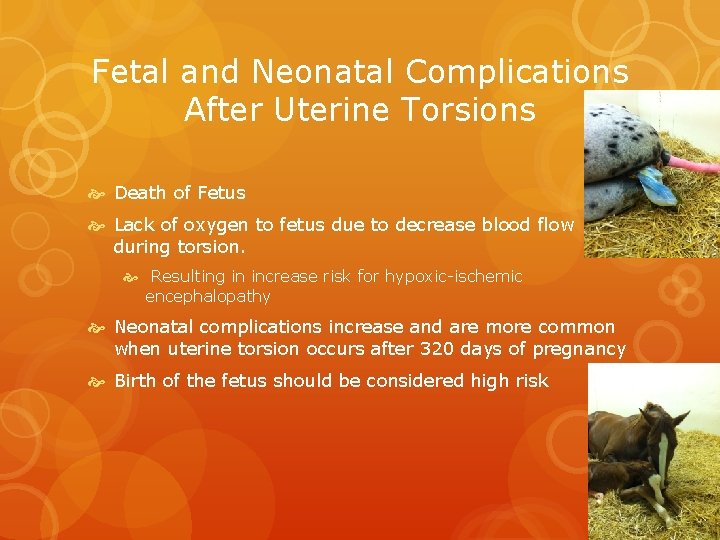 Fetal and Neonatal Complications After Uterine Torsions Death of Fetus Lack of oxygen to
