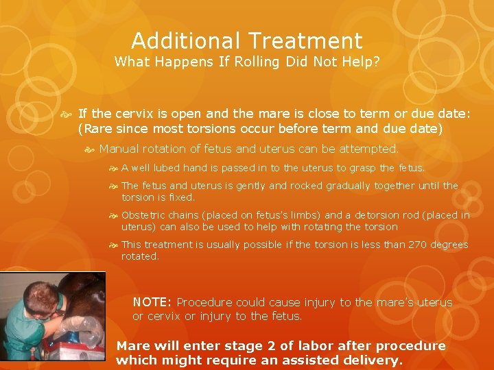 Additional Treatment What Happens If Rolling Did Not Help? If the cervix is open