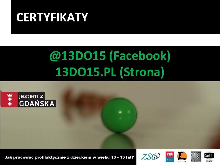 CERTYFIKATY @13 DO 15 (Facebook) 13 DO 15. PL (Strona) 