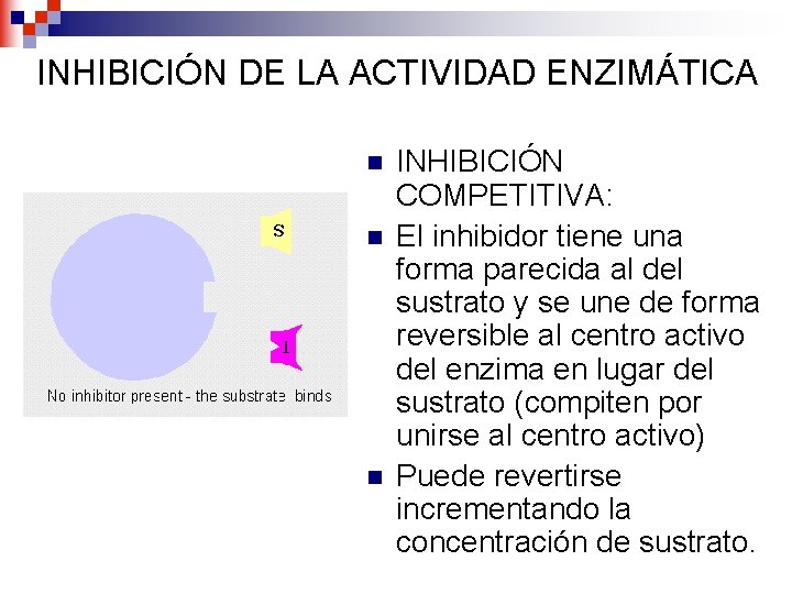 INHIBICIÓN DE LA ACTIVIDAD ENZIMÁTICA n n n INHIBICIÓN COMPETITIVA: El inhibidor tiene una