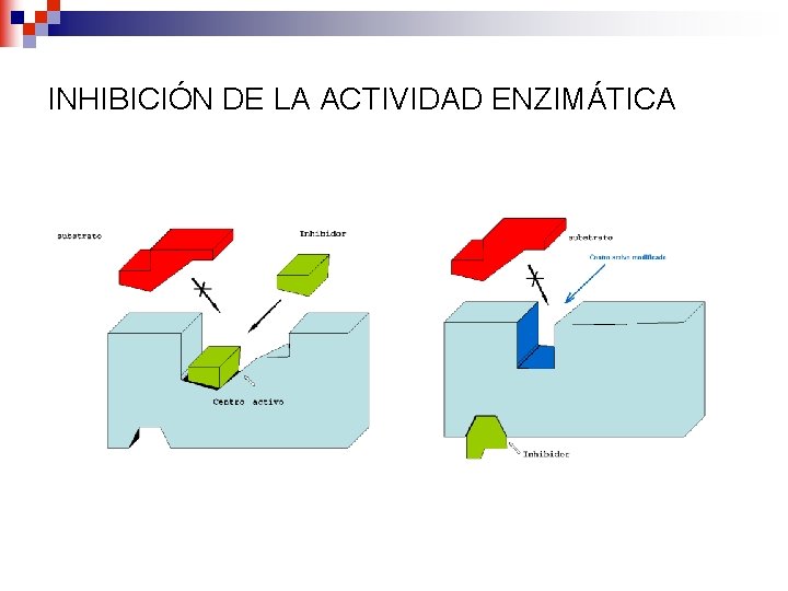 INHIBICIÓN DE LA ACTIVIDAD ENZIMÁTICA 