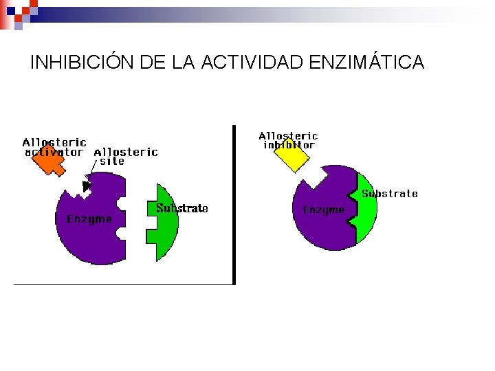 INHIBICIÓN DE LA ACTIVIDAD ENZIMÁTICA 