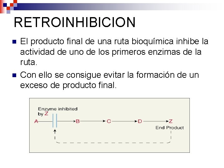 RETROINHIBICION n n El producto final de una ruta bioquímica inhibe la actividad de