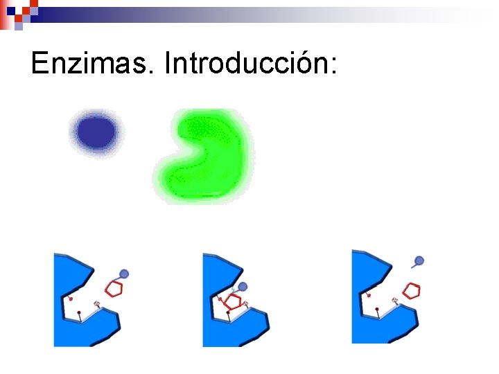 Enzimas. Introducción: 