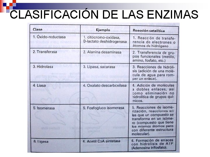 CLASIFICACIÓN DE LAS ENZIMAS 