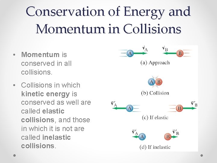 Conservation of Energy and Momentum in Collisions • Momentum is conserved in all collisions.