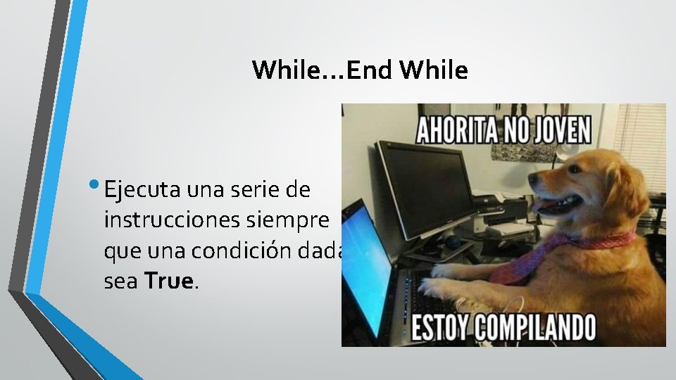 While. . . End While • Ejecuta una serie de instrucciones siempre que una