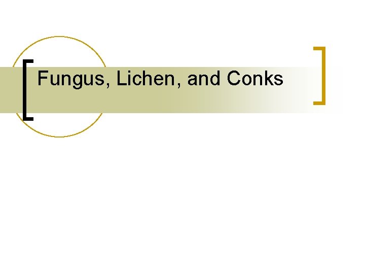 Fungus, Lichen, and Conks 