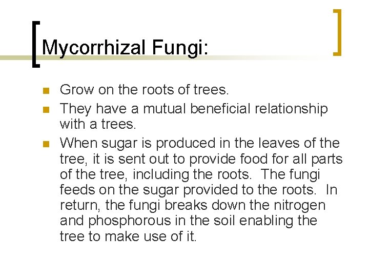 Mycorrhizal Fungi: n n n Grow on the roots of trees. They have a