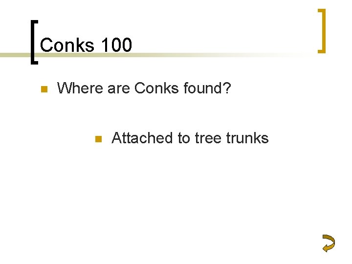 Conks 100 n Where are Conks found? n Attached to tree trunks 