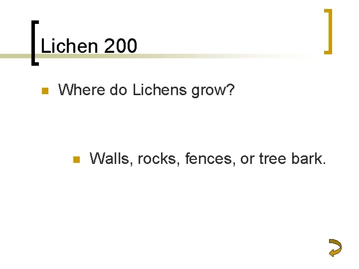 Lichen 200 n Where do Lichens grow? n Walls, rocks, fences, or tree bark.