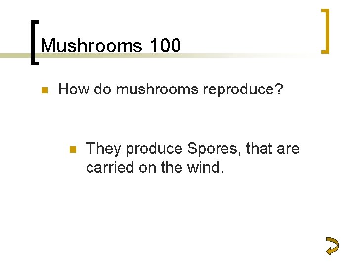 Mushrooms 100 n How do mushrooms reproduce? n They produce Spores, that are carried