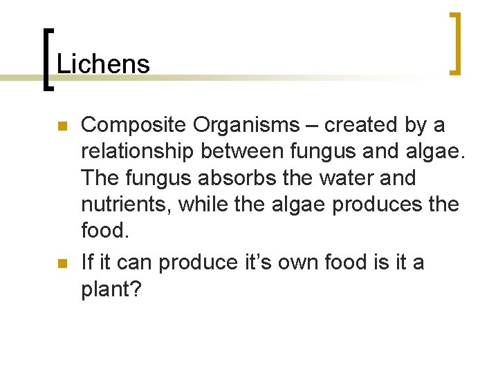 Lichens n n Composite Organisms – created by a relationship between fungus and algae.